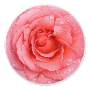Romantiska röda rosa ros vatten droppar knopp