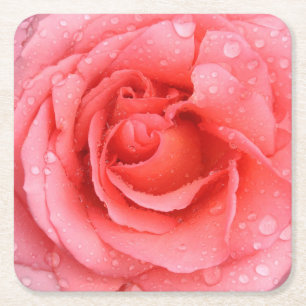 Romantiska röda rosa ros vatten droppar underlägg papper kvadrat
