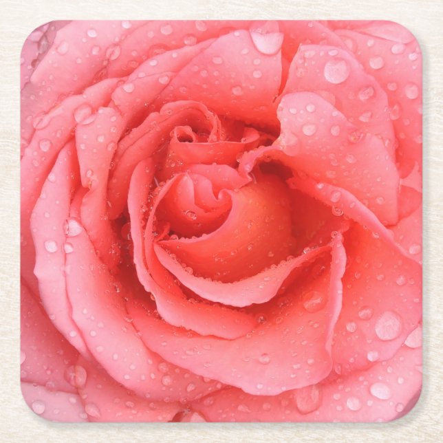 Romantiska röda rosa ros vatten droppar underlägg papper kvadrat (Framsidan)