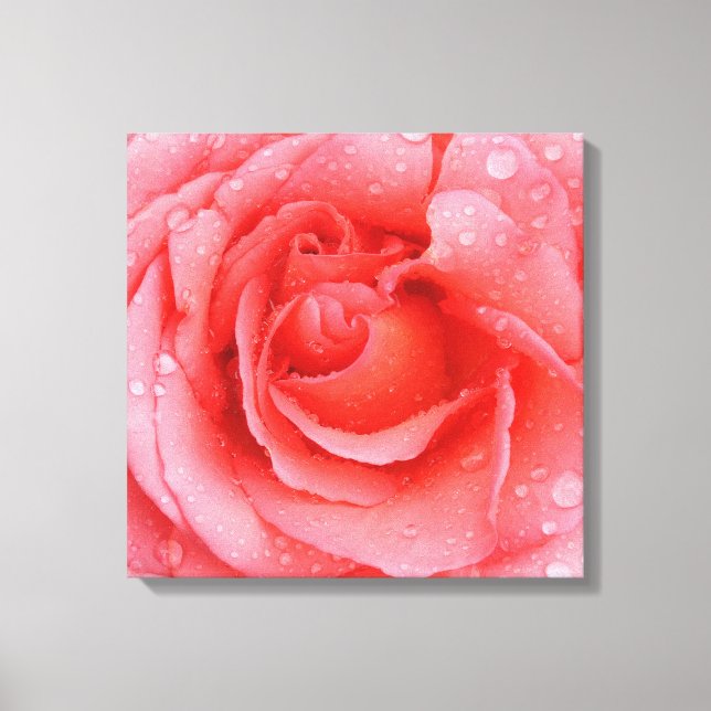 Romantiska Rosa Rosvatten Droppar Canvastryck (Framsida)