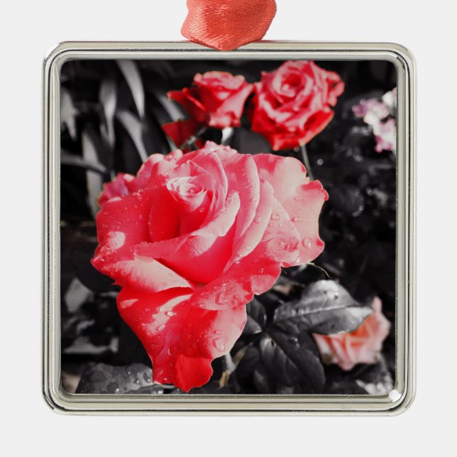 Romantiska rosblommor #3 julgransprydnad metall (Framsidan)