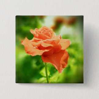 Romantiska rosor blommor #2 knapp