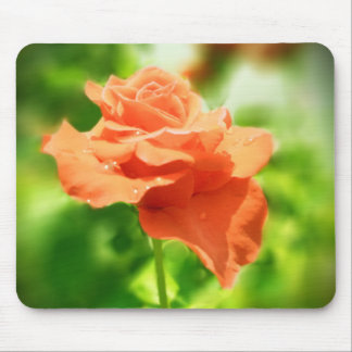 Romantiska rosor blommor #2 musmatta