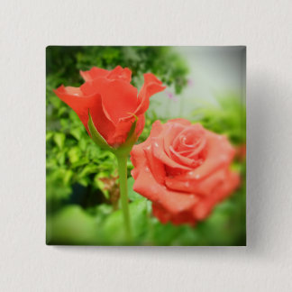 Romantiska rosor blommor knapp