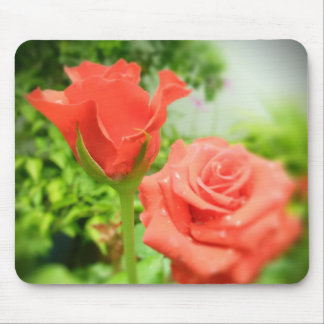 Romantiska rosor blommor musmatta