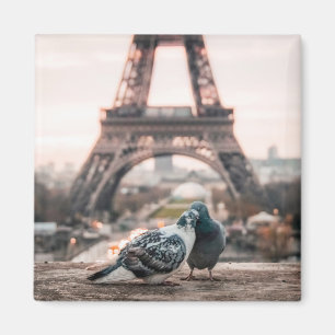Romantiska staden Paris Magnet