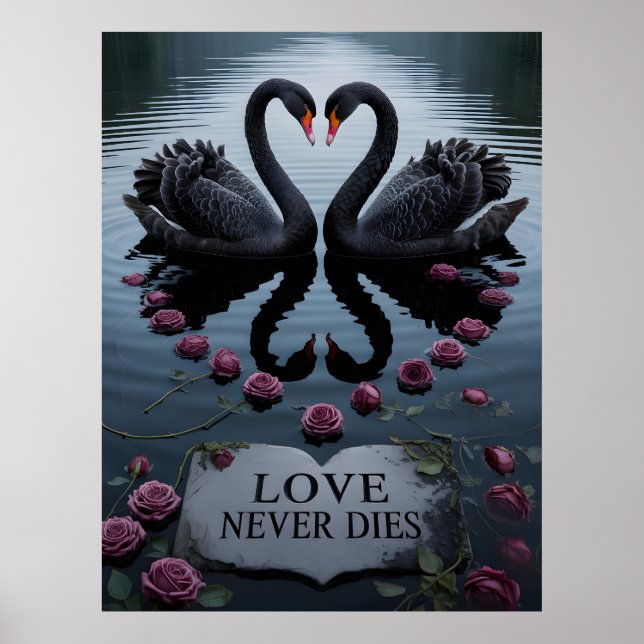 Romantiska svarta svanar Hjärtreflektion med text Poster (Framsidan)