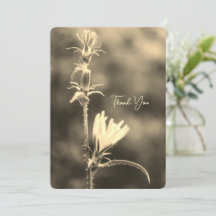 Romantiska träd & blommor – botanisk boho-fantasi 