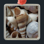 Romantiska tropiska exotiska Snäckor Beach Kärlek Julgransprydnad Metall<br><div class="desc">Romantiska tropiska exotiska Snäckor Beach Kärlek</div>