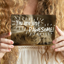 Romantiska Valentineser för häftig katt Vykort