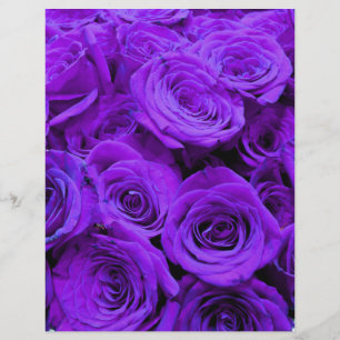 romantiska violetta lila rosor, vacker rosbukett