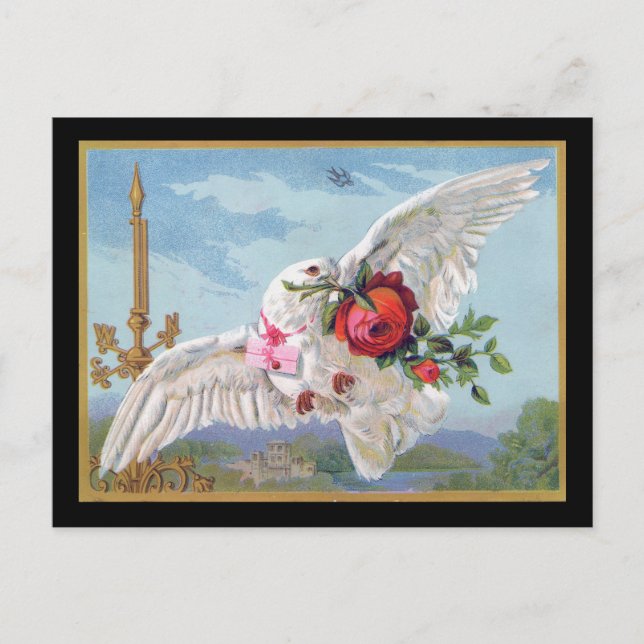 Romantiskt dove-vykort vykort (Framsida)