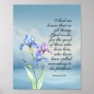 Romarbrevet 8:28 Iris akvarell Poster