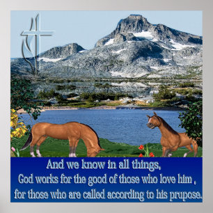 Romarbrevet 8:28 poster