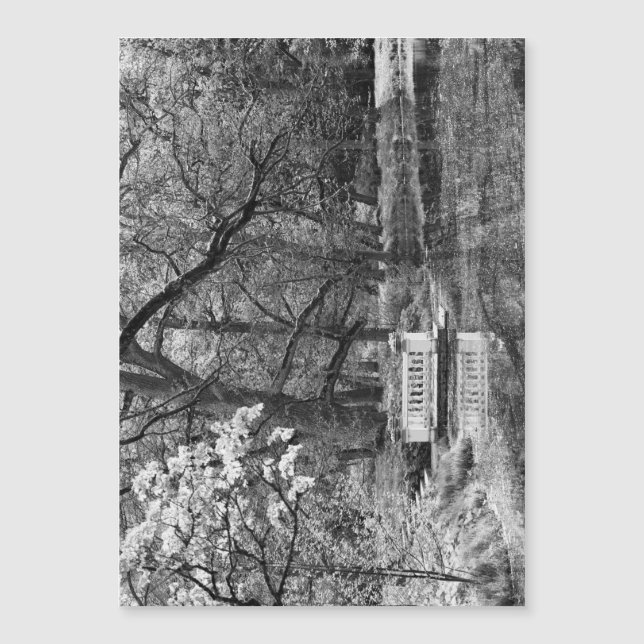 Romatic sjö (Framsida)