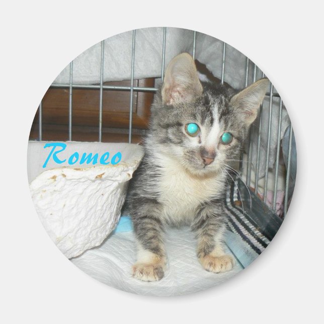 romcirkelmagnet magnet (Framsidan)