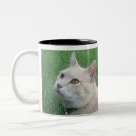 Romeo Cat Coffee Mugg