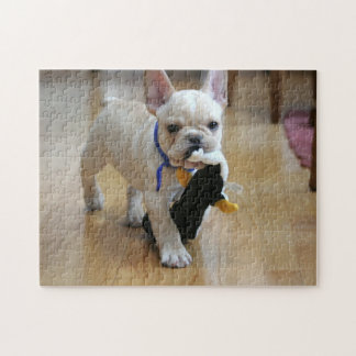 Romeo det franska bulldoggpussel pussel