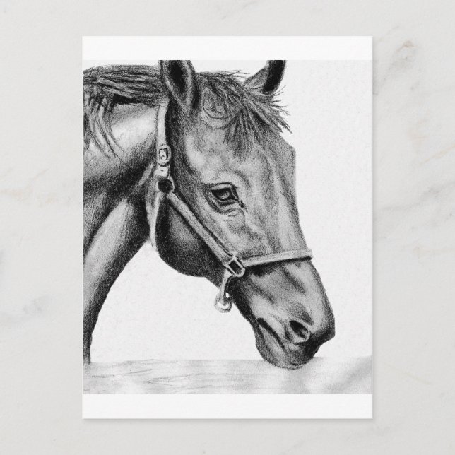 Romeo Vykort (Framsida)