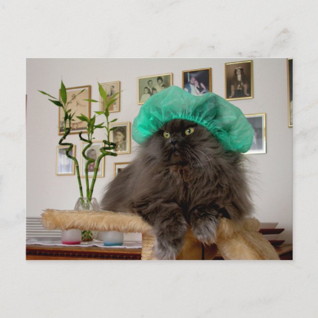 Romeo Vykort (Framsida)