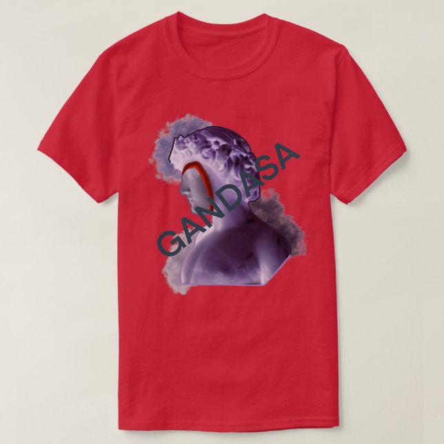 Romer T Shirt (Design framsida)
