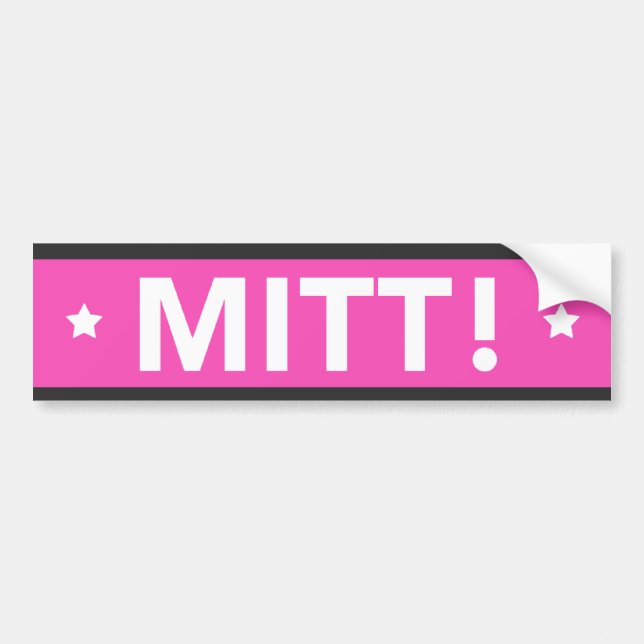 Romney Ryan KARDA! Bildekal (rosor) (Framsidan)