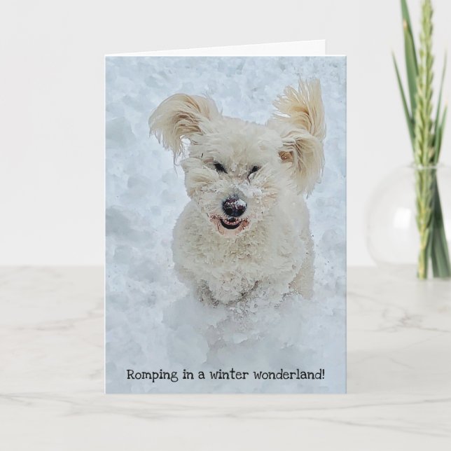 Rompande Hund på vintern under Helgdag Kort (Framsida)