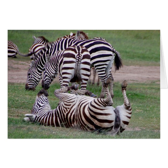 Romping Om Hälsningskort (Framsidan Horizontal)