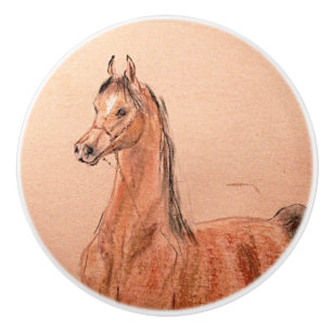 Ron Hevener Arabian Stallion Knopp