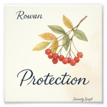 Rönn — Skydd | Serenity Script Collection