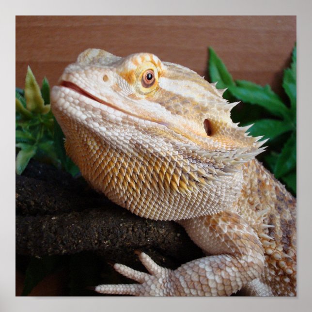 Ronnie 2 poster (Framsidan)