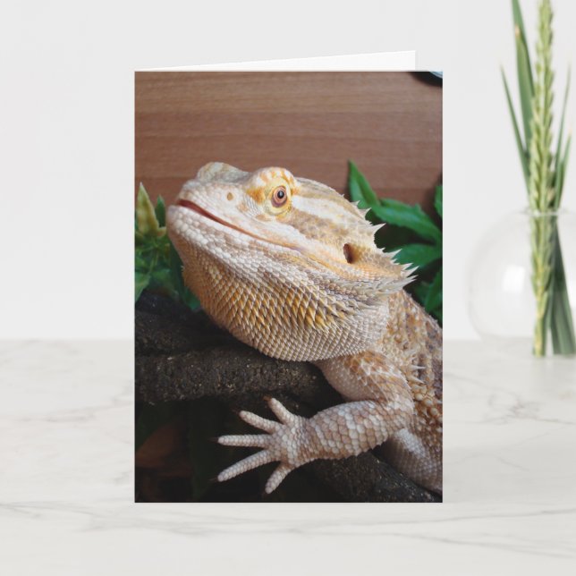 Ronnie Kort (Framsida)