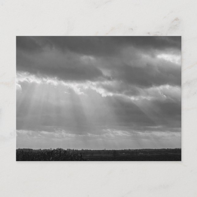 Rönor av svart och vitt sol vykort (Framsida)