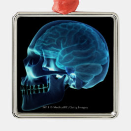 Röntga av hjärninsidan en skalle julgransprydnad metall