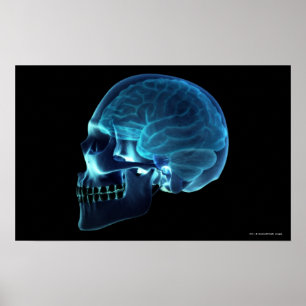 Röntga av hjärninsidan en skalle poster