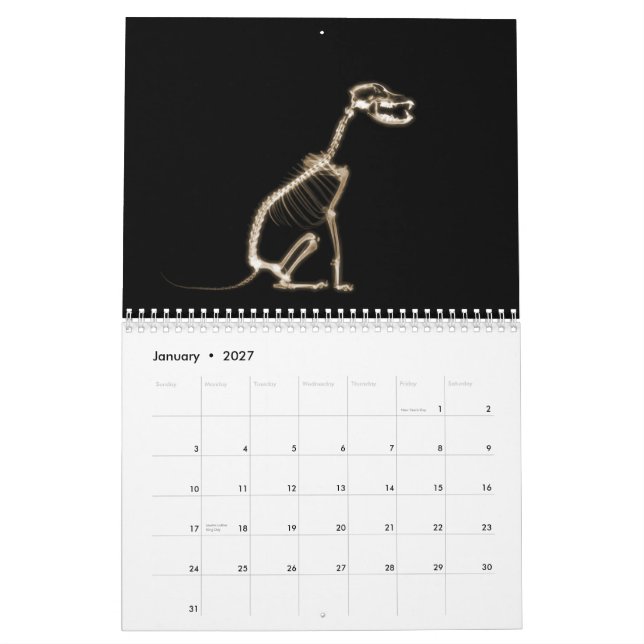Röntga för promenadsvarten för skelett midnatt kalender (Jan 2027)