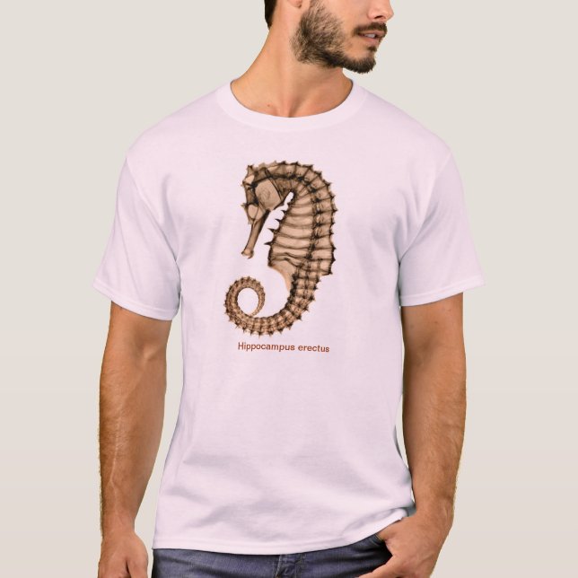 Röntga havshästen, Hippocampus somerectusen Tee Shirt (Framsida)