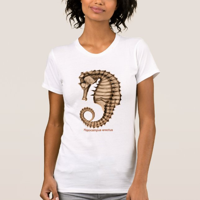 Röntga havshästen, Hippocampuserectus somfullt T-shirt (Framsida)