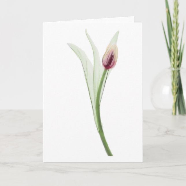 Röntgen: Tulipnotekare Kort (Framsida)