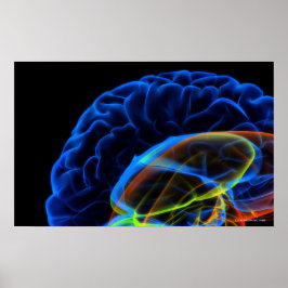 Röntgenbild av hjärnan poster