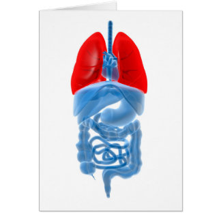 Röntgenbild av interna organ med Lungor Hälsningskort