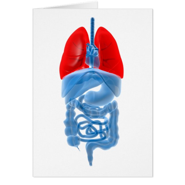 Röntgenbild av interna organ med Lungor Hälsningskort (Framsidan)