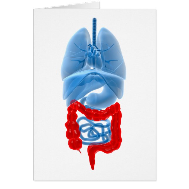 röntgenbild av interna organ med stor storlek hälsningskort (Framsidan)