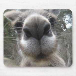 Roo egennamn musmatta