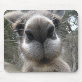 Roo egennamn musmatta