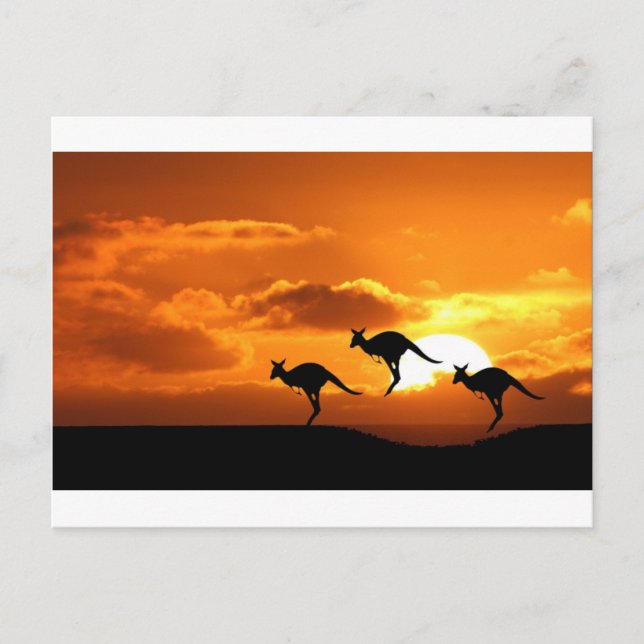 ROO-SPRINGERNA. VYKORT (Framsida)