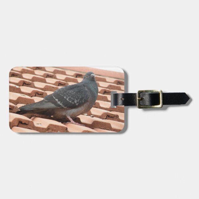 Rooftop Pigeon Anpassningsbar Luggage Tag Bagagebricka (Horisontell Framsida)