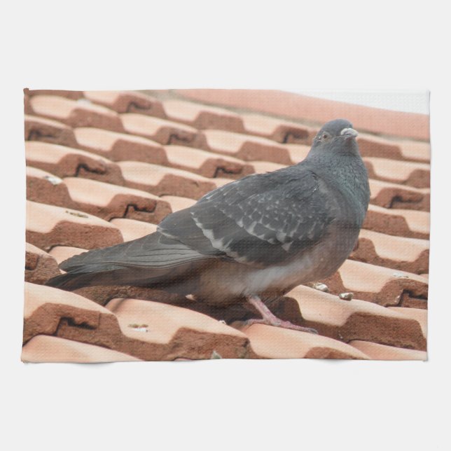 Rooftop Pigeon Kitchen Towel Kökshandduk (Horisontell)
