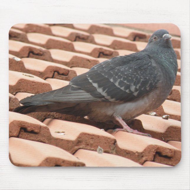 Rooftop Pigeon Mousepad Musmatta (Framsidan)