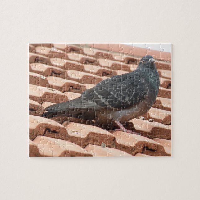 Rooftop Pigeon Puzzle Pussel (Horisontell)